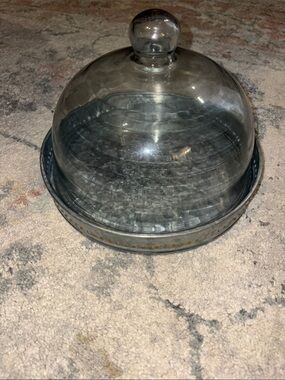 Glass Dome Server with Gray Metal Base